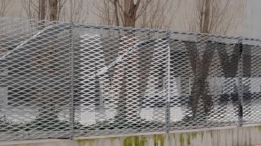 Eskrim Maxxi. Roma, İtalya