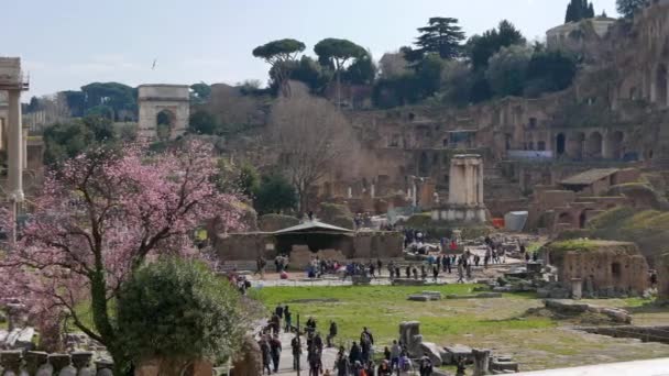 Roman Forum. Rome, Italy — Stock Video