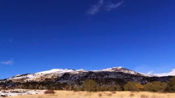 Sluttningen av berget Etna. Sicilien, Italien — Stockvideo