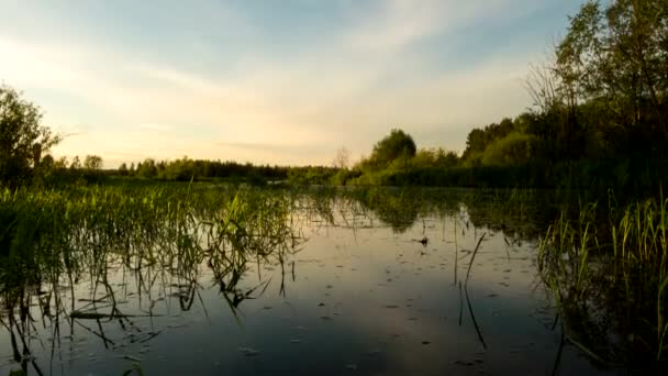 Sonnenuntergang spiegelt sich im Fluss wider — Stockvideo