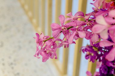 Central Chidlom 'daki alışveriş merkezinde bir demet çiçek süslemesi. Arka plan dokusunda güzel çiçeklerin çeşitleri var. Fotoğraf seçici bir odak ile çekildi, bazı kısımlar bulanık efektler.