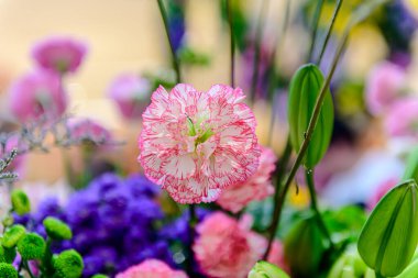 Central Chidlom 'daki alışveriş merkezinde bir demet çiçek süslemesi. Arka plan dokusunda güzel çiçeklerin çeşitleri var. Fotoğraf seçici bir odak ile çekildi, bazı kısımlar bulanık efektler.