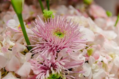 Central Chidlom 'daki alışveriş merkezinde bir demet çiçek süslemesi. Arka plan dokusunda güzel çiçeklerin çeşitleri var. Fotoğraf seçici bir odak ile çekildi, bazı kısımlar bulanık efektler.
