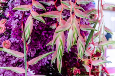 Central Chidlom 'daki alışveriş merkezinde bir demet çiçek süslemesi. Arka plan dokusunda güzel çiçeklerin çeşitleri var. Fotoğraf seçici bir odak ile çekildi, bazı kısımlar bulanık efektler.