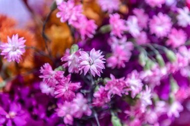 Central Chidlom 'daki alışveriş merkezinde bir demet çiçek süslemesi. Arka plan dokusunda güzel çiçeklerin çeşitleri var. Fotoğraf seçici bir odak ile çekildi, bazı kısımlar bulanık efektler.
