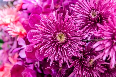 Central Chidlom 'daki alışveriş merkezinde bir demet çiçek süslemesi. Arka plan dokusunda güzel çiçeklerin çeşitleri var. Fotoğraf seçici bir odak ile çekildi, bazı kısımlar bulanık efektler.