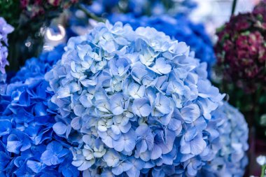 Central Chidlom 'daki alışveriş merkezinde bir demet çiçek süslemesi. Arka plan dokusunda güzel çiçeklerin çeşitleri var. Fotoğraf seçici bir odak ile çekildi, bazı kısımlar bulanık efektler.