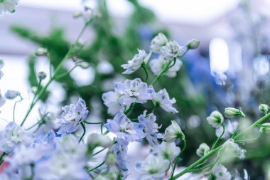 Central Chidlom 'daki alışveriş merkezinde bir demet çiçek süslemesi. Arka plan dokusunda güzel çiçeklerin çeşitleri var. Fotoğraf seçici bir odak ile çekildi, bazı kısımlar bulanık efektler.