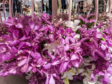 Central Chidlom 78. yıldönümünde 24-28 Ekim tarihlerinde gerçekleşen çiçek fuarı. Bangkok, Tayland. - 24 Ekim 2025.