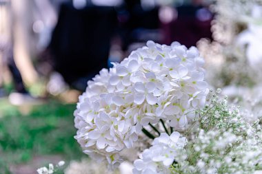 Nai Lert Çiçeği ve Bahçe Sanat Fuarı 'nın sergisi. Her yıl bir sürü yerli ziyaretçi ve turist buraya gelir. Bangkok, Tayland. - 10 Aralık 2025.
