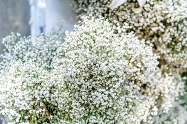 Nai Lert Çiçeği ve Bahçe Sanat Fuarı 'nın sergisi. Her yıl bir sürü yerli ziyaretçi ve turist buraya gelir. Bangkok, Tayland. - 10 Aralık 2025.