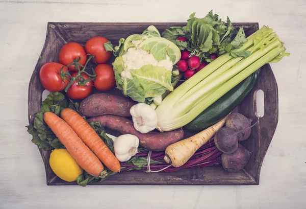 Basket with organic vegetables — Stock Photo, Image