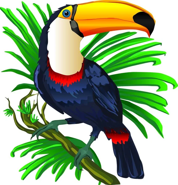 Toucan Tree Vector Cartoon Character Black Yellow Red Colors — Stock Vector