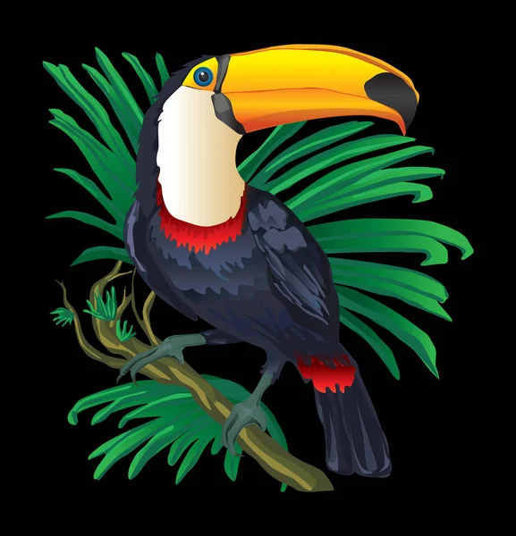 Bir ağaç kuşunun üzerindeki Toucan siyah renkli.