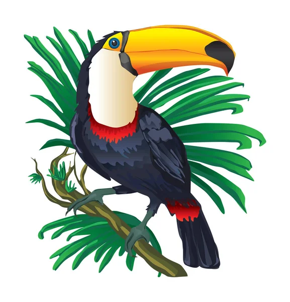 Toucan Träd Fågel Toucan Vitt — Stockfoto