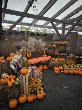 Cadılar Bayramı süslemeleri ve balkabakları