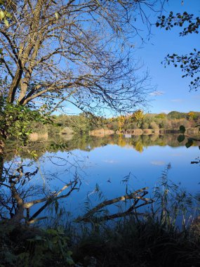 Ağaçlar ve yapraklarla dolu sonbahar gölü