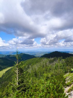 Yeşil ormanın manzarası ve dağ sırası.