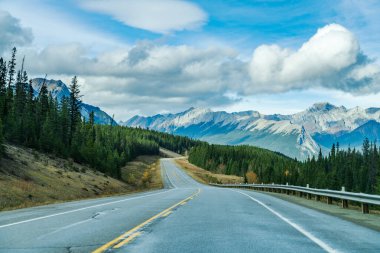 Ormanın kırsal kesiminde arka planda dağlar var. Alberta Otoyolu 11 (David Thompson Hwy), Jasper Ulusal Parkı, Kanada.