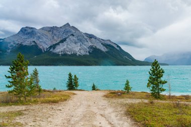 Sonbahar sezonunda Abraham Lake Shore 'da manzara, arka planda Michener Dağı. Jasper Ulusal Parkı, Alberta, Kanada.