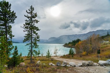 Sonbahar sezonunda Abraham Gölü kıyısında manzara. Jasper Ulusal Parkı, Alberta, Kanada.