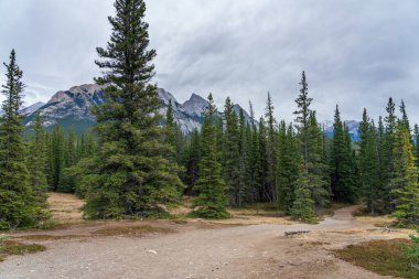 Kootenay Ovası 'ndaki Siffleur Şelalesi Yolu. Arka planda Eski Coelis Dağı. Jasper Ulusal Parkı, Alberta, Kanada.