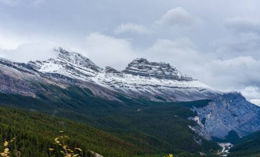 Sonbahar sezonunda karla kaplı Cirrus Dağı. Icefields Parkway (Alberta Karayolu 93), Jasper Ulusal Parkı, Kanada.