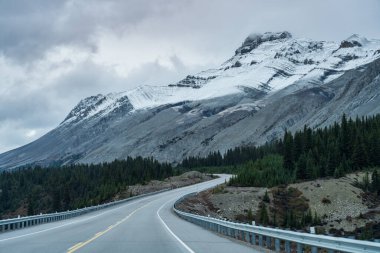 Sonbahar mevsiminde karla kaplı dağlar. Icefields Parkway (Alberta Karayolu 93), Jasper Ulusal Parkı, Kanada.