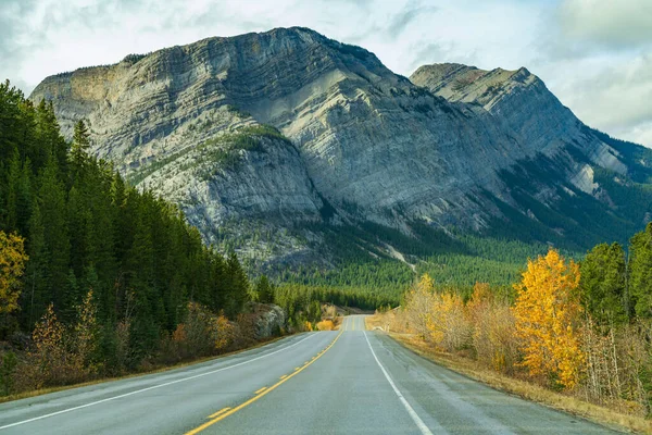 숲 속 시골 길에 스텔 여우 산이 배경에 있다. Alberta Highway 11 (David Thompson Hwy), 재스퍼 국립 공원, 캐나다. — 스톡 사진