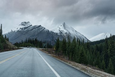 Sonbahar sezonunda Nigel Peak 'i kar kaplamıştı. Icefields Parkway (Alberta Karayolu 93), Jasper Ulusal Parkı, Kanada.