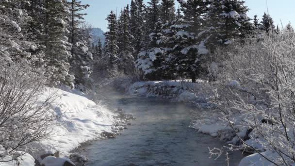 冬天阳光明媚的早晨 森林里美丽而宁静的小溪 雾飘浮在水面上 晴朗的蓝天 白雪覆盖了河岸上的松树 美丽的自然景观 — 图库视频影像