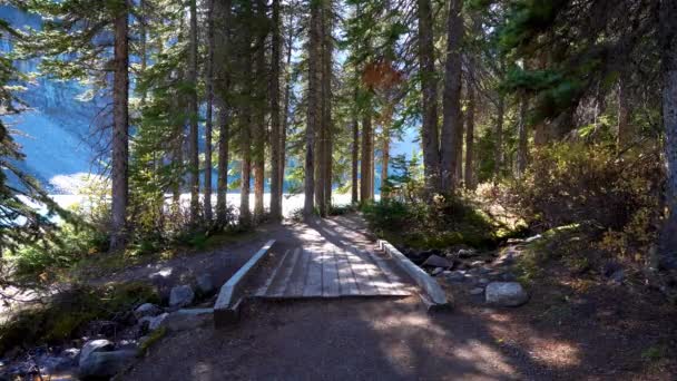 Caminhando trilha na margem do lago na floresta em um dia ensolarado. Moraine lake lakeside, Banff National Park, Canadian Rockies, Alberta, Canadá. — Vídeo de Stock