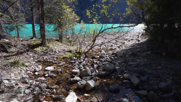 Petit ruisseau et vallée au bord du lac dans la forêt par une journée ensoleillée. — Video