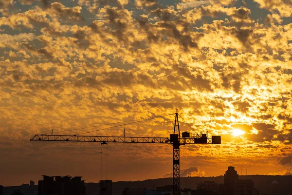 Guindastes Primeiro Plano Colorido Céu Nuvens Altocumulus Fundo Pôr Sol — Fotografia de Stock