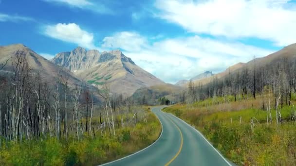 Red Rock Canyon Parkway Autumn Sunny Day Morning Waterton Lakes — Stock video