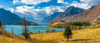 Sonbahar yeşillik mevsiminde Orta Waterton Gölü göl kıyısı güneşli bir sabah. Mavi gökyüzü, arkadaki dağların üzerinden beyaz bulutlar. Waterton Lakes Ulusal Parkı, Alberta, Kanada.