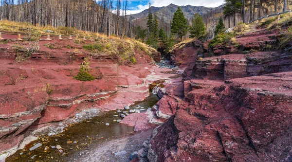 Red Rock Canyon in autumn foliage season morning. Blue sky, white clouds and mountains in the background. Waterton Lakes National Park, Alberta, Canada. —  Fotos de Stock