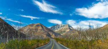 Sonbahar güneşli sabahında Red Rock Canyon Parkway. Waterton Lakes Ulusal Parkı, Alberta, Kanada.