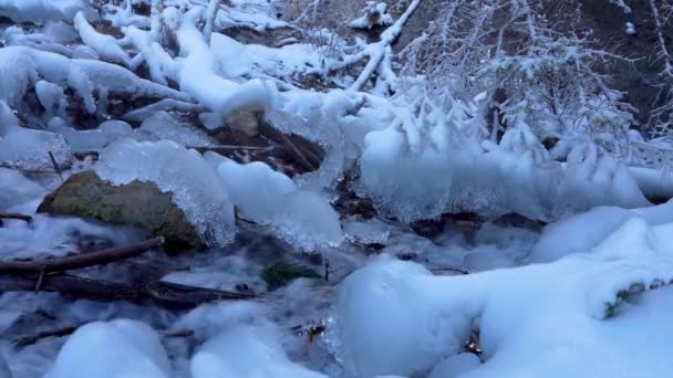 Buz Deresi Kış Mevsiminde Akıyor Grassi Gölleri Canmore Alberta Kanada — Stok video