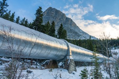 Grassi Gölü yürüyüş patikasındaki büyük boru hattı Whitemans Pond ve Rundle Forebay 'ı birbirine bağlıyor. Canmore, Alberta, Kanada 'daki hidroelektrik sistemi..