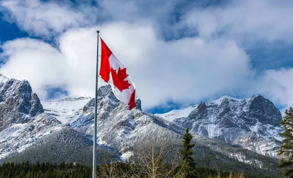 Крупный план Государственного флага Канады с природными горами и пейзажами деревьев на заднем плане. — стоковое фото