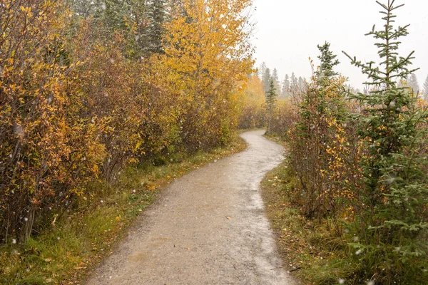 Snowing Policeman Creek Riverside Trail, Spring Creek Boardwalk in Late fall to early winter season. Ciudad de Canmore, Alberta, Canadá. —  Fotos de Stock