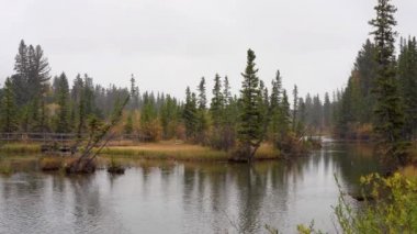 Kar Polisi Riverside Trail 'de, Spring Creek Boardwalk' ta kışın sonlarına doğru. Canmore kasabası, Alberta, Kanada.
