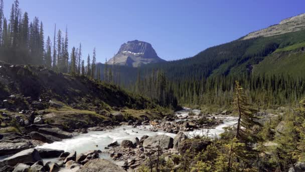 Águas Alimentadas Por Geleiras Takakkaw Falls Fluem Para Rio Yoho — Vídeo de Stock