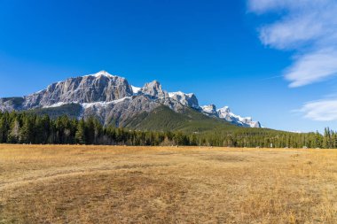 Quarry Lake Park, sonbahar sonlarında güneşli bir günde. Arka planda Rundle Dağı karla kaplı. Canmore, Alberta, Kanada.