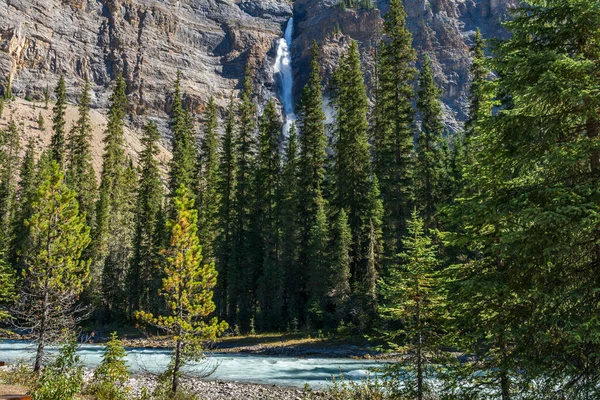 Cachoeira Takakkaw Falls e Rio Yoho em um dia ensolarado de verão. Paisagem natural em Yoho National Park, Canadian Rockies, British Columbia, Canadá. — Fotografia de Stock