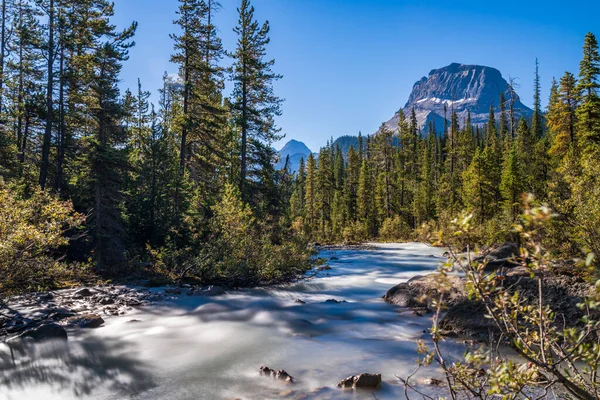 Águas alimentadas por geleiras de Takakkaw Falls fluem para o Rio Yoho com a Montanha Wapta ao fundo em um dia ensolarado de verão. Yoho National Park, Canadian Rockies, British Columbia, Canadá. — Fotografia de Stock