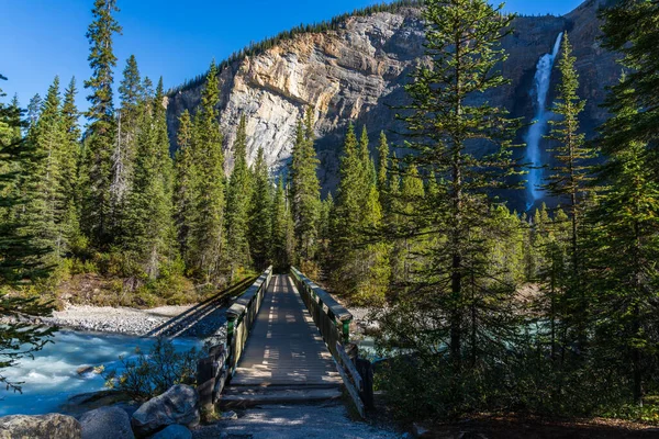 Yoho Nehri, güneşli bir yaz gününde Takakkaw Şelalesi üzerindeki ormandaki yaya köprüsünden akar. Yoho Ulusal Parkı, Kanada Kayalıkları, Britanya Kolumbiyası, Kanada. — Stok fotoğraf