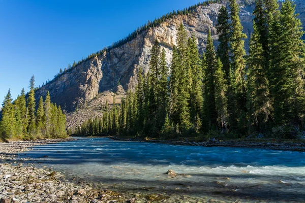 O rio Yoho flui através da floresta de pinheiros verdes em uma manhã ensolarada de verão. Trilha Islandesa, Parque Nacional Yoho, Montanhas Rochosas Canadenses, Colúmbia Britânica, Canadá. — Fotografia de Stock