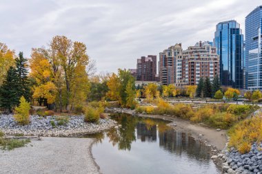 Prince 's Island Park sonbahar yeşillik manzarası. Nehir kıyısında, Calgary şehir merkezinde, Alberta, Kanada.